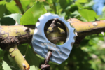StealthBeast 200 Knuckle Ring - Image 2